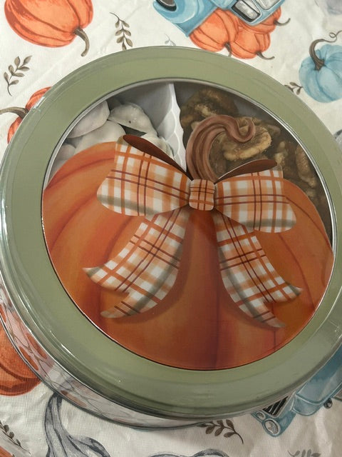 z Fall Pumpkin TIN-MEDIUM
