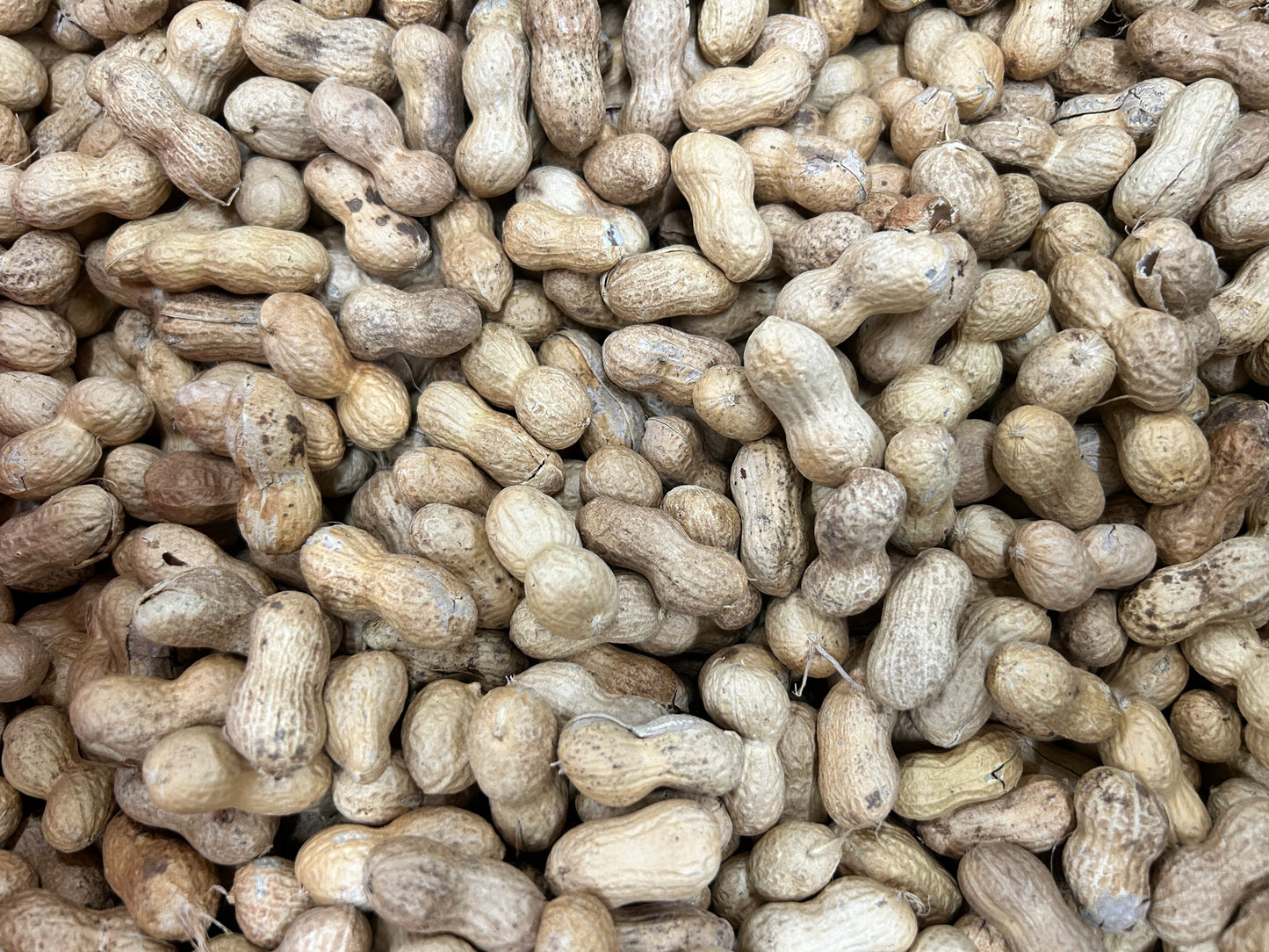 RAW Spanish Peanuts