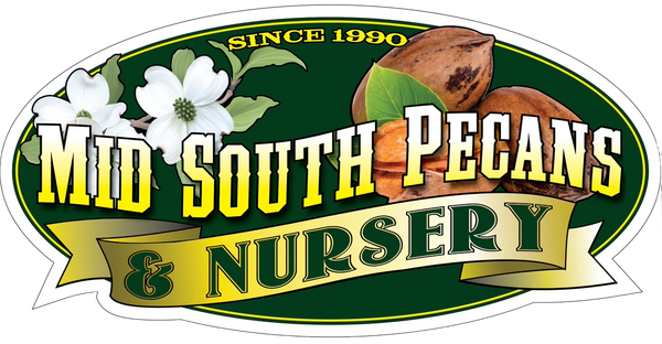 MidSouth Pecans logo