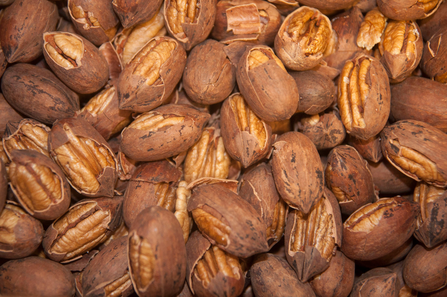 #CRACKED PECANS- in Shell